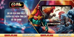 Đá Gà Cựa Dao Trực Tuyến Cực Kịch Tính Chỉ Có Tại QH88