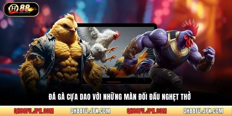 Đá gà cựa dao với những màn đối đầu nghẹt thở