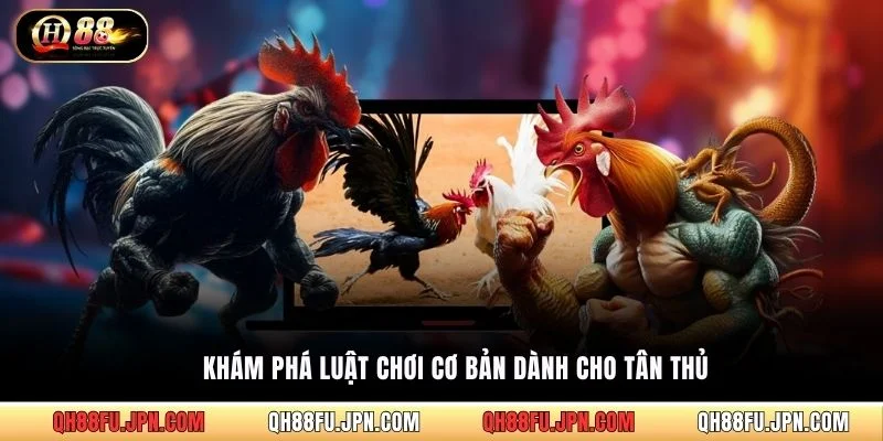 Khám phá luật chơi cơ bản dành cho tân thủ