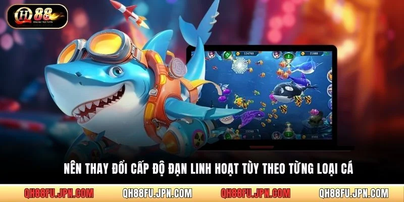 Nên thay đổi cấp độ đạn linh hoạt tùy theo từng loại cá