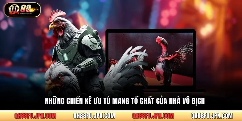 Những chiến kê ưu tú mang tố chất của nhà vô địch