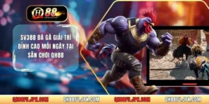 SV388 Đá Gà Giải Trí Đỉnh Cao Mỗi Ngày Tại Sân Chơi QH88