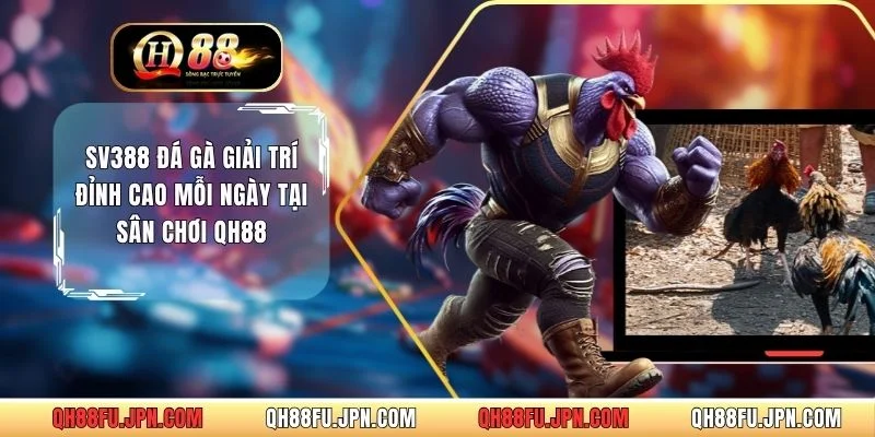 SV388 Đá Gà Giải Trí Đỉnh Cao Mỗi Ngày Tại Sân Chơi QH88