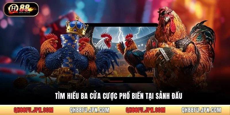 Tìm hiểu ba cửa cược phổ biến tại sảnh đấu